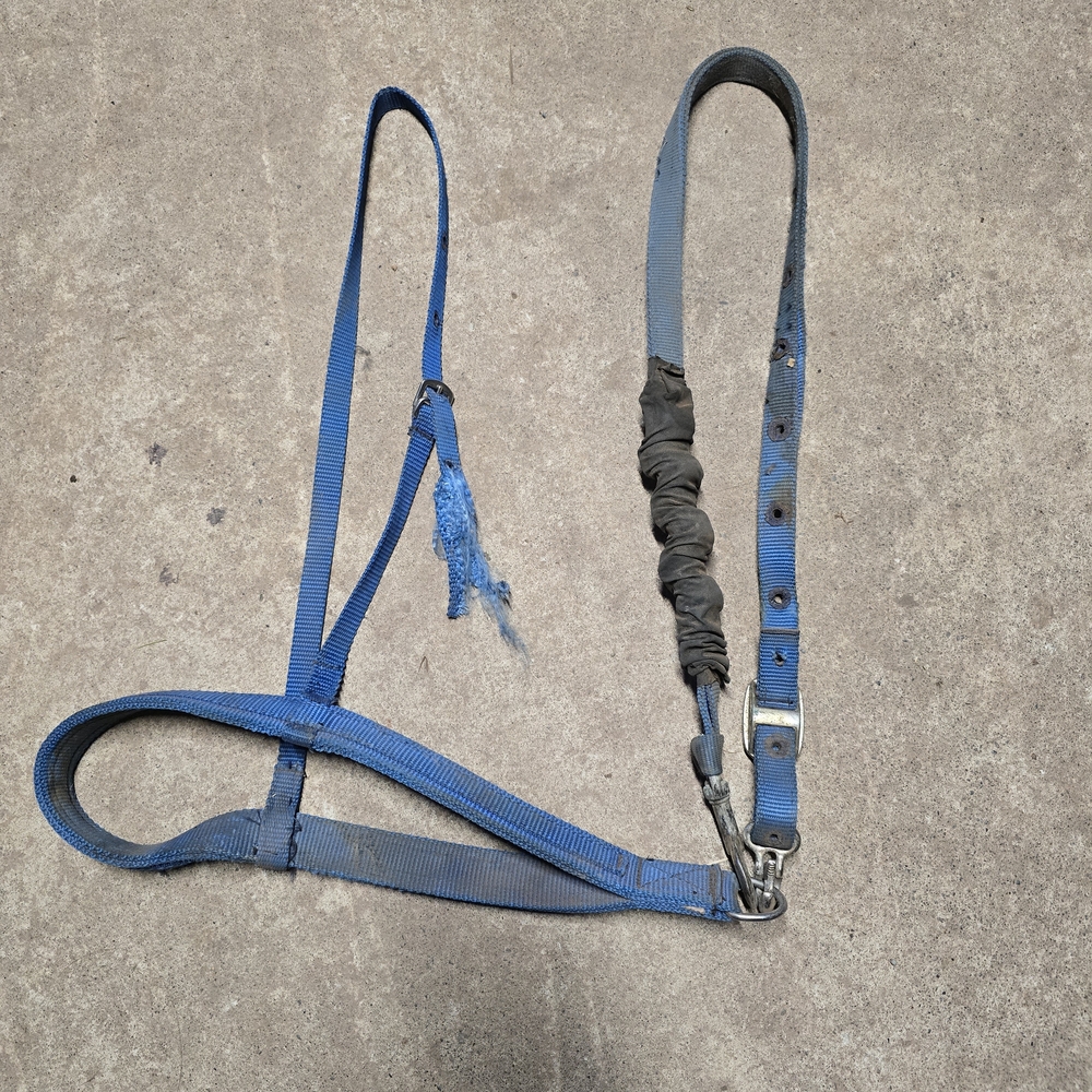 Blue Nylon Horse Tie Down